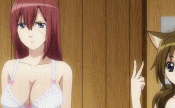 15677 7 girls 1 boy asobi ni iku yo 7 girls 1 boy (Asobi ni Iku yo!)