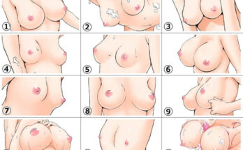 21412 breasts are the most beautiful thing ever Breasts are the most beautiful thing ever