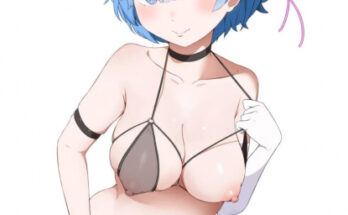 40338 rem is the best waifu coro fae Rem is the best waifu (coro fae)