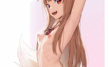 65072 holo spice and wolf Holo [Spice and Wolf]